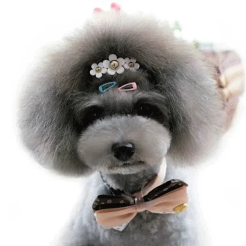 5pc/set Korean Mini 2cm Colorf - Vintage Fashion Doll review and price